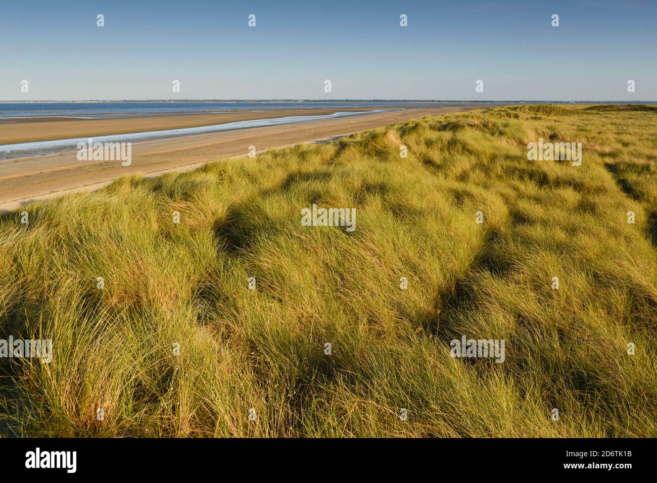 Barneville-Carteret (Normandie, Nordwestfrankreich): Dünen und Utah Beach, D-Day Beach Stockfoto