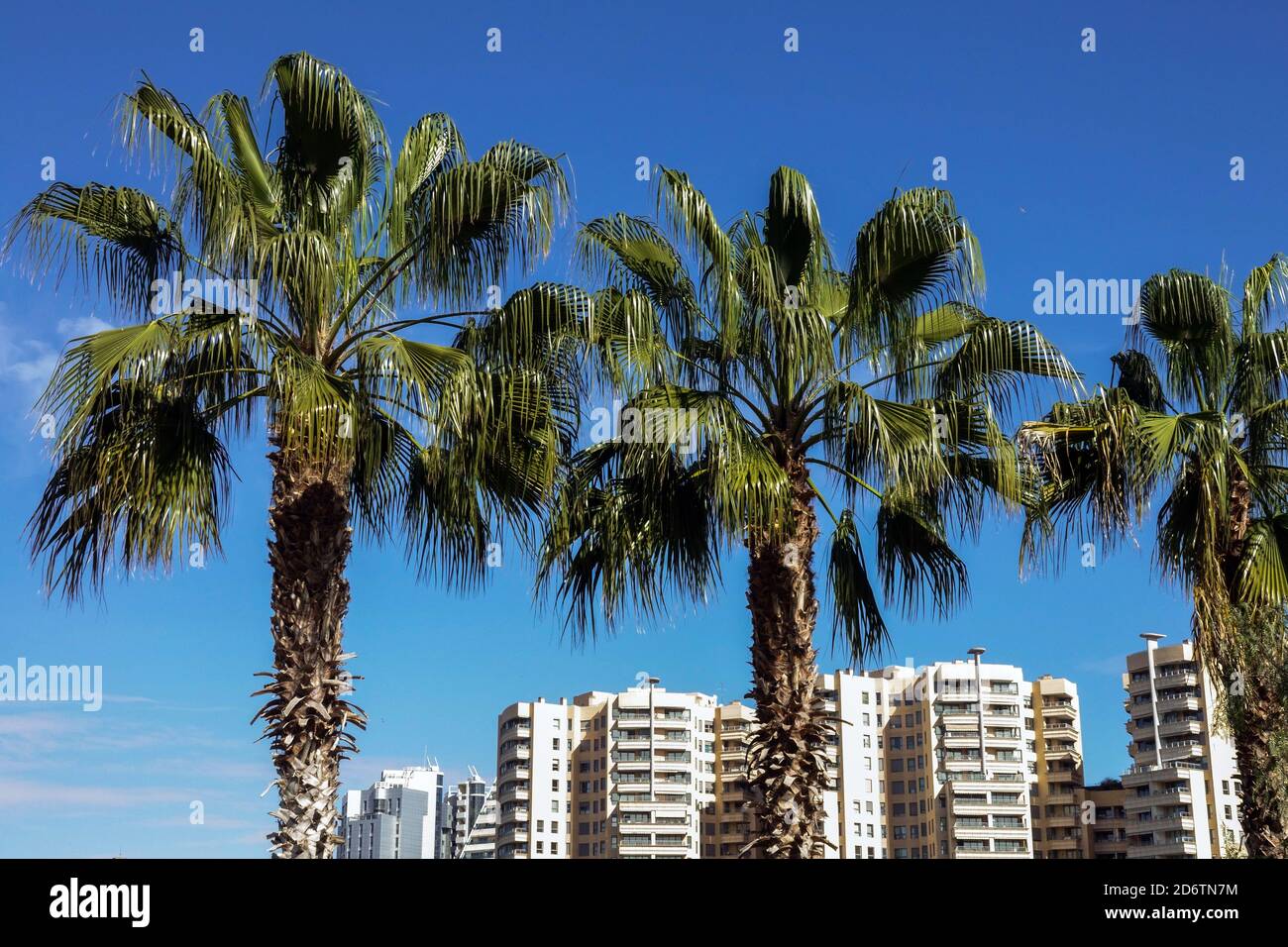 Valencia Immobilien Mestalla Bezirk Stockfoto