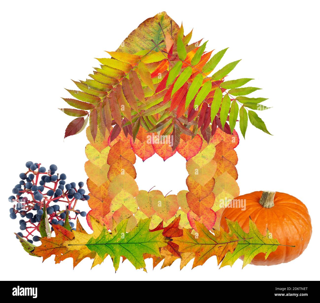 Das Waldhaus besteht aus Herbstblättern und Beeren. Selbstgemachte Fotocollage. Isoliert auf Weiß Stockfoto