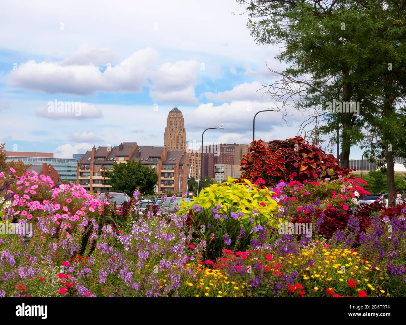 University Trial Gardens, Erie Basin Marina, Buffalo Stockfoto