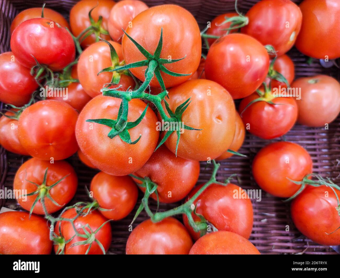 Ausgewählte Fokus auf Gruppe von frischen französischen Tomaten verkaufen bei Markt Stockfoto