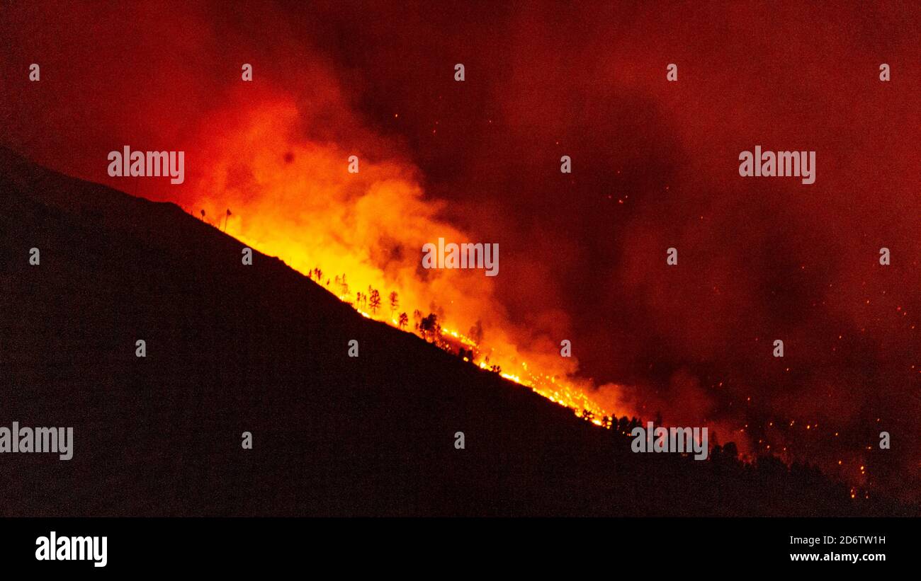Häuser und Bäume brennen, während das CalWood-Feuer über Nacht in Colorado brennt Stockfoto