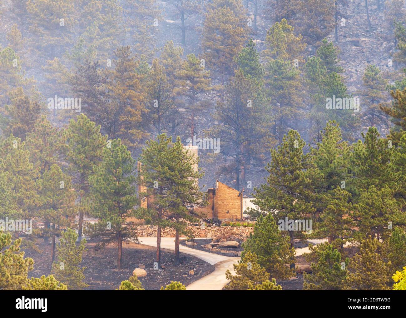 Häuser brannten zu Boden und wurden nach einem Waldbrand in der Nacht zuvor in Colorado zerstört Stockfoto