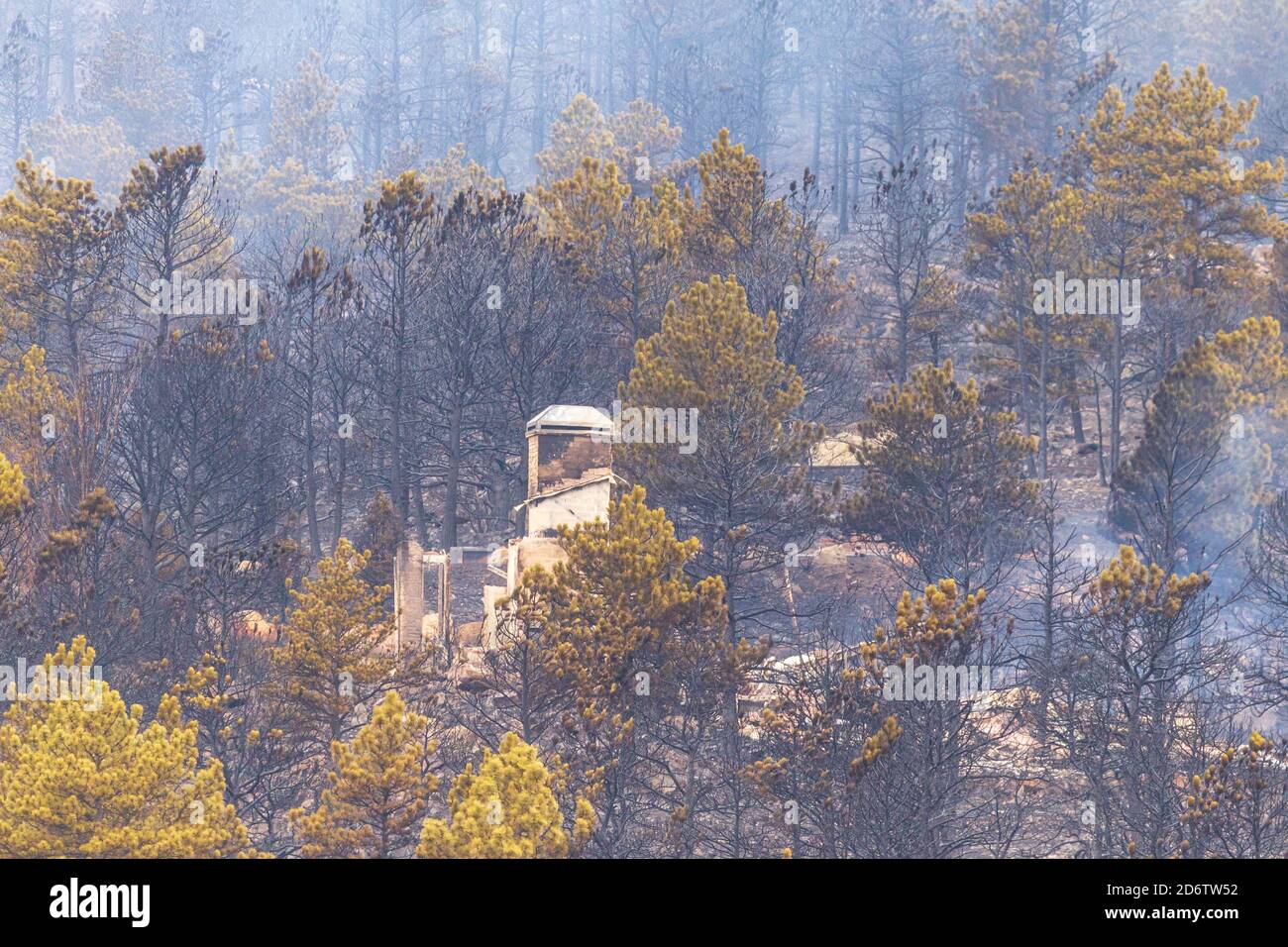 Häuser brannten zu Boden und wurden nach einem Waldbrand in der Nacht zuvor in Colorado zerstört Stockfoto