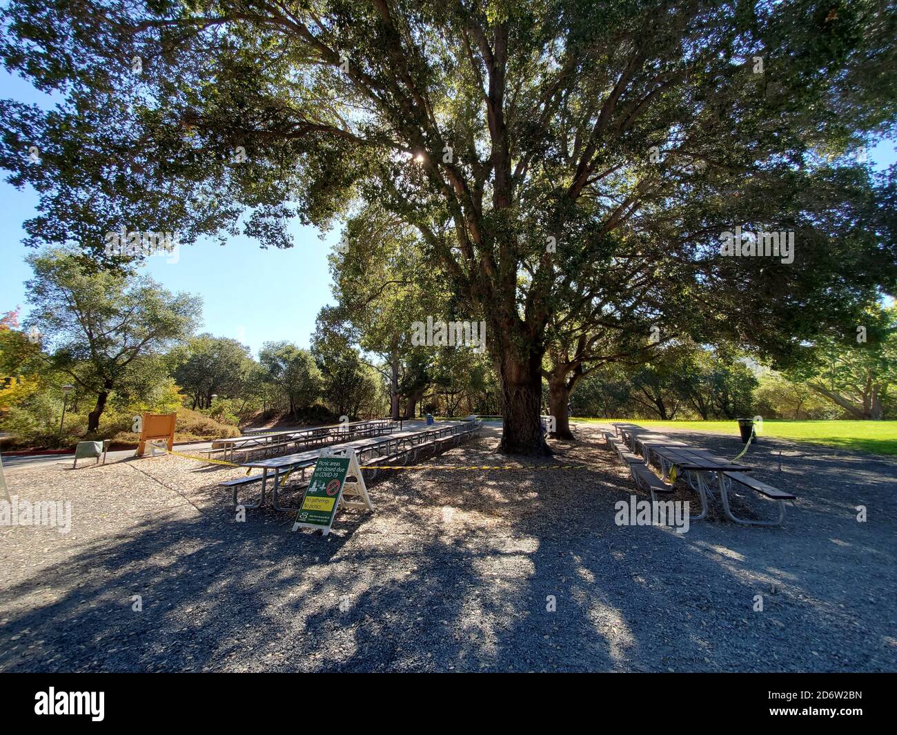 Weitwinkel von Picknick-Bereichen unter Baum in Lafayette Reservoir, Lafayette, Kalifornien, 22. September 2020. () Stockfoto