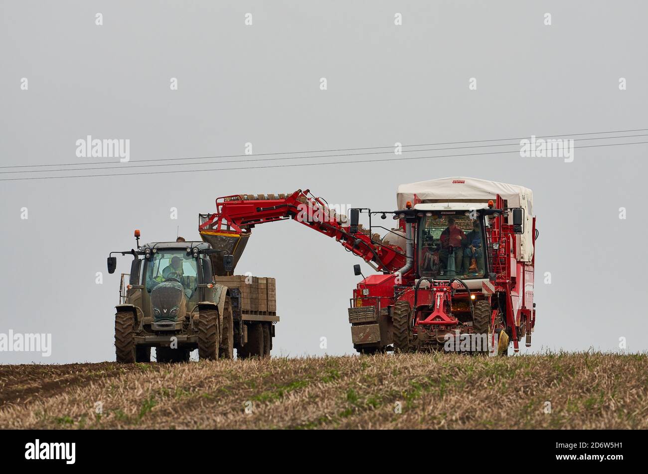 18. Oktober 2020. Portsoy, Moray, Schottland, Großbritannien. Landwirte beschäftigt bei der Arbeit Ernte Saatkartoffeln für den Export. Stockfoto