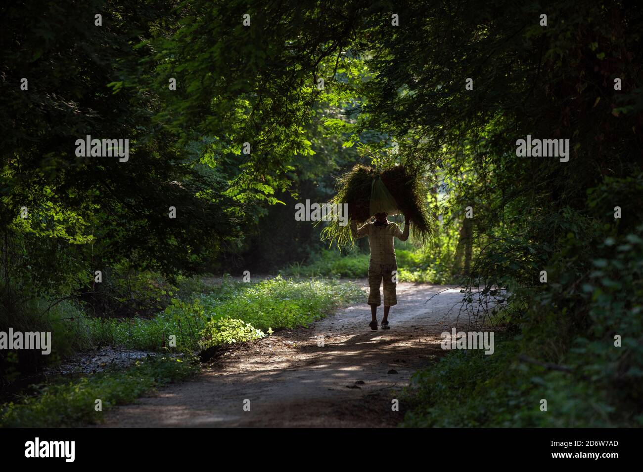 Rural Life, Jeshingpura, In Der Nähe Von Vadodara, Gujarat, Indien Stockfoto