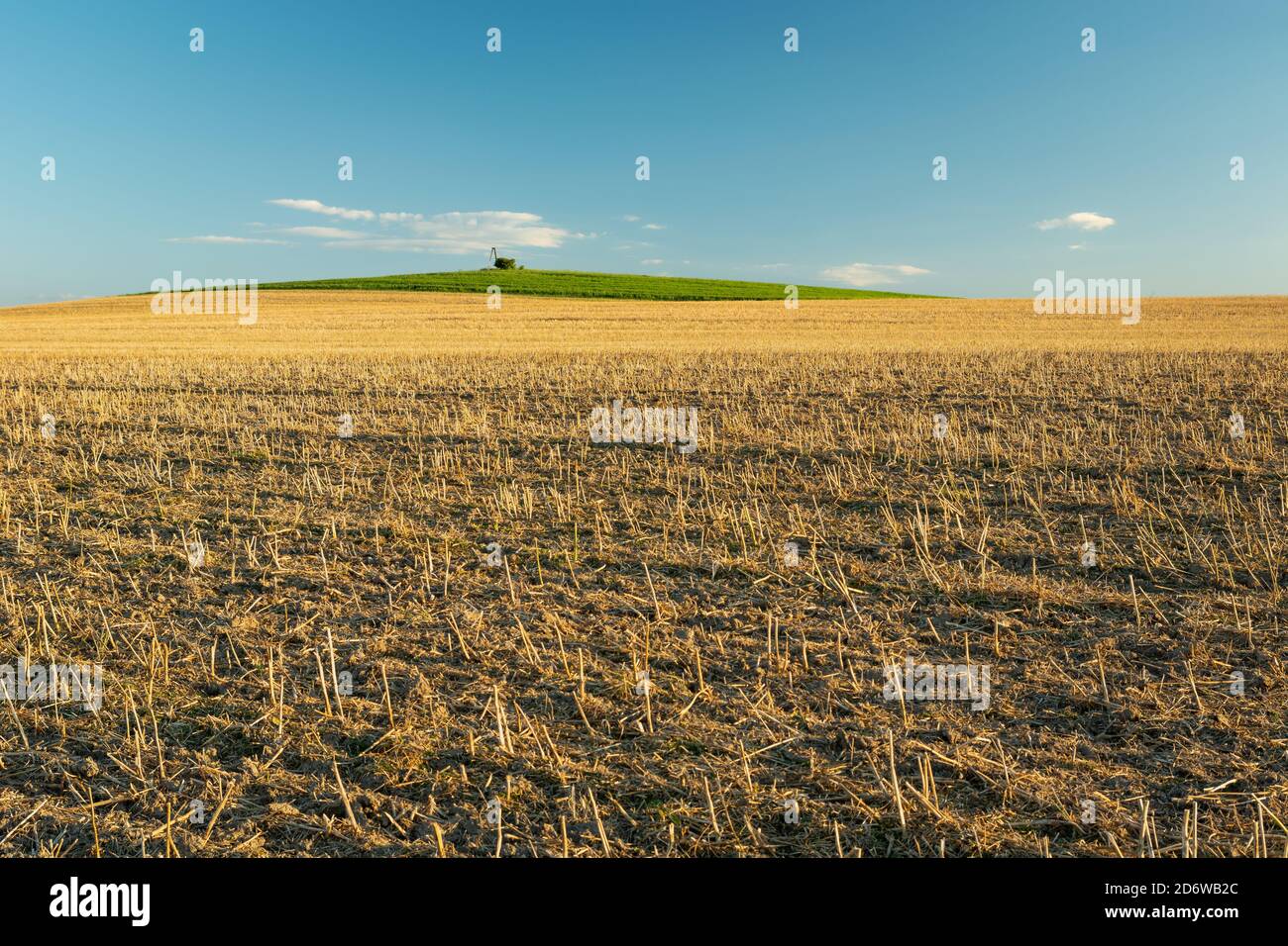Riesige Feld von Stoppeln zum Horizont und blauen Himmel Stockfoto