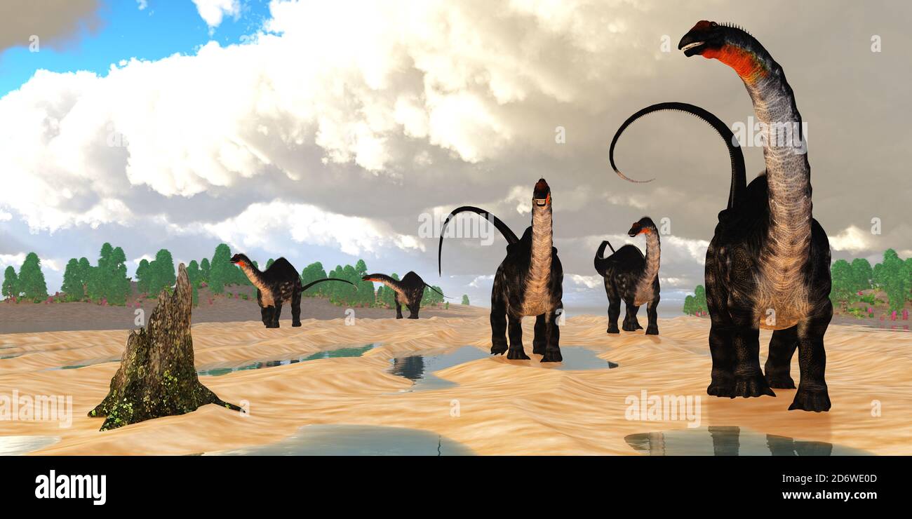 Apatosaurus Dinosaur Coastline - EINE Herde von Apatosaurus Dinosaurier schlendern durch eine Flussmündung Gezeiten bei Ebbe während der Jurassic Periode. Stockfoto