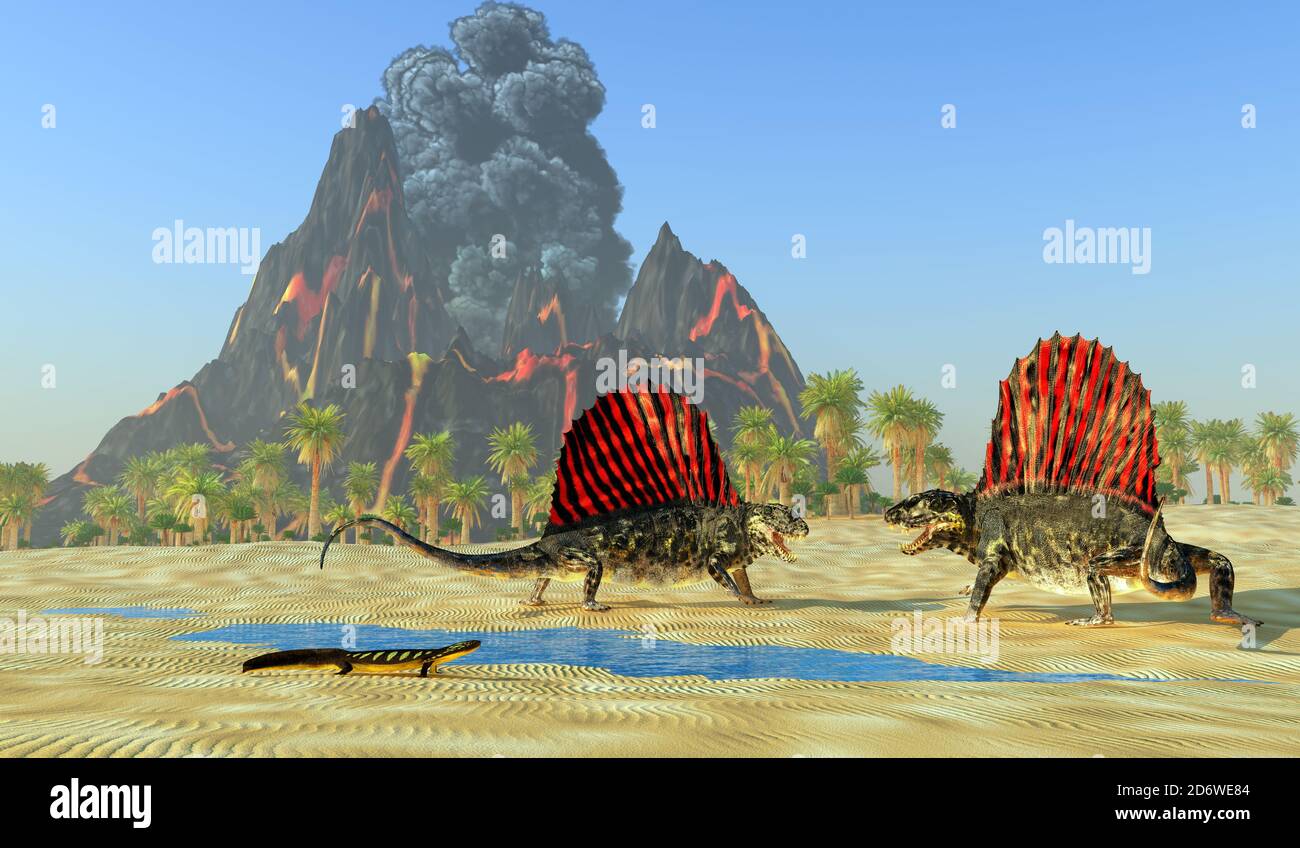 Ein Diplocaulus-Dinosaurier beobachtet, wie zwei Dimetrodon-Reptilien um Territorium und Paarungsrechte kämpfen. Stockfoto