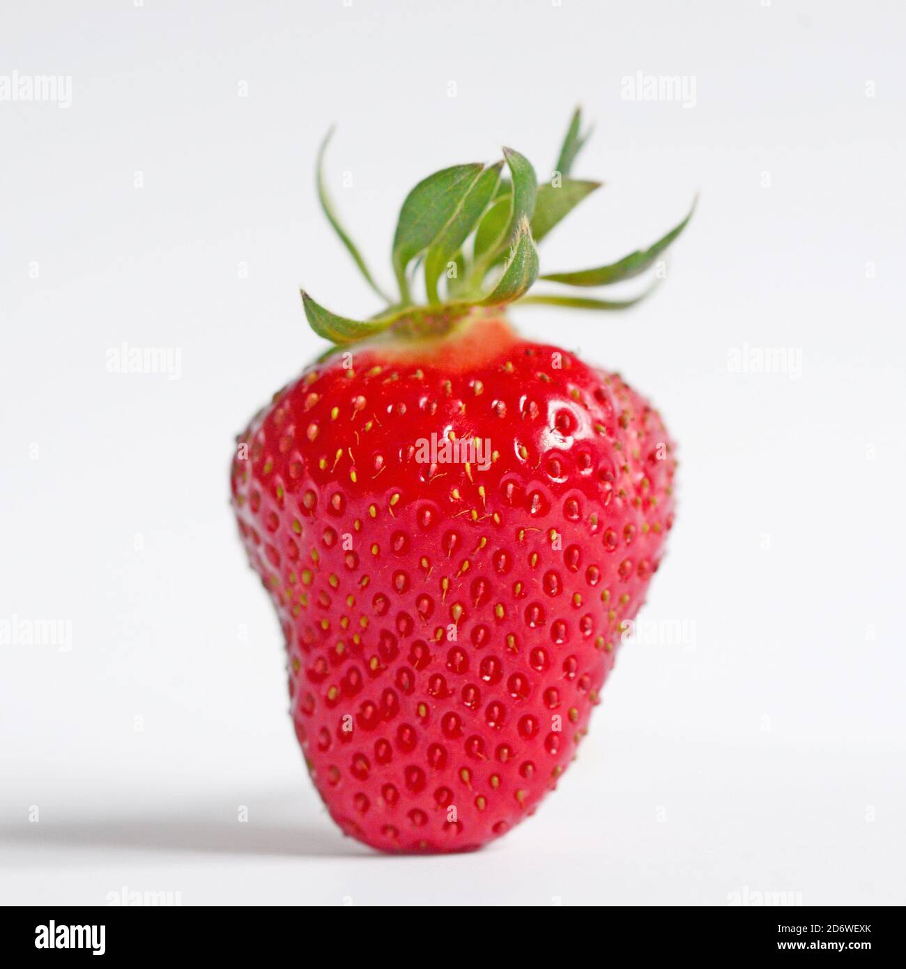 Makroaufnahme Erdbeere Stockfoto