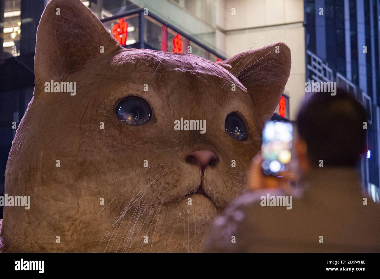 Peking, China. Oktober 2020. Am 18. Oktober 2020 zeigt sich in Salitun in Peking eine riesige Katzenstatuar.(Foto: TPG/cnsphotos) (Foto: Top Photo/Sipa USA) Quelle: SIPA USA/Alamy Live News Stockfoto