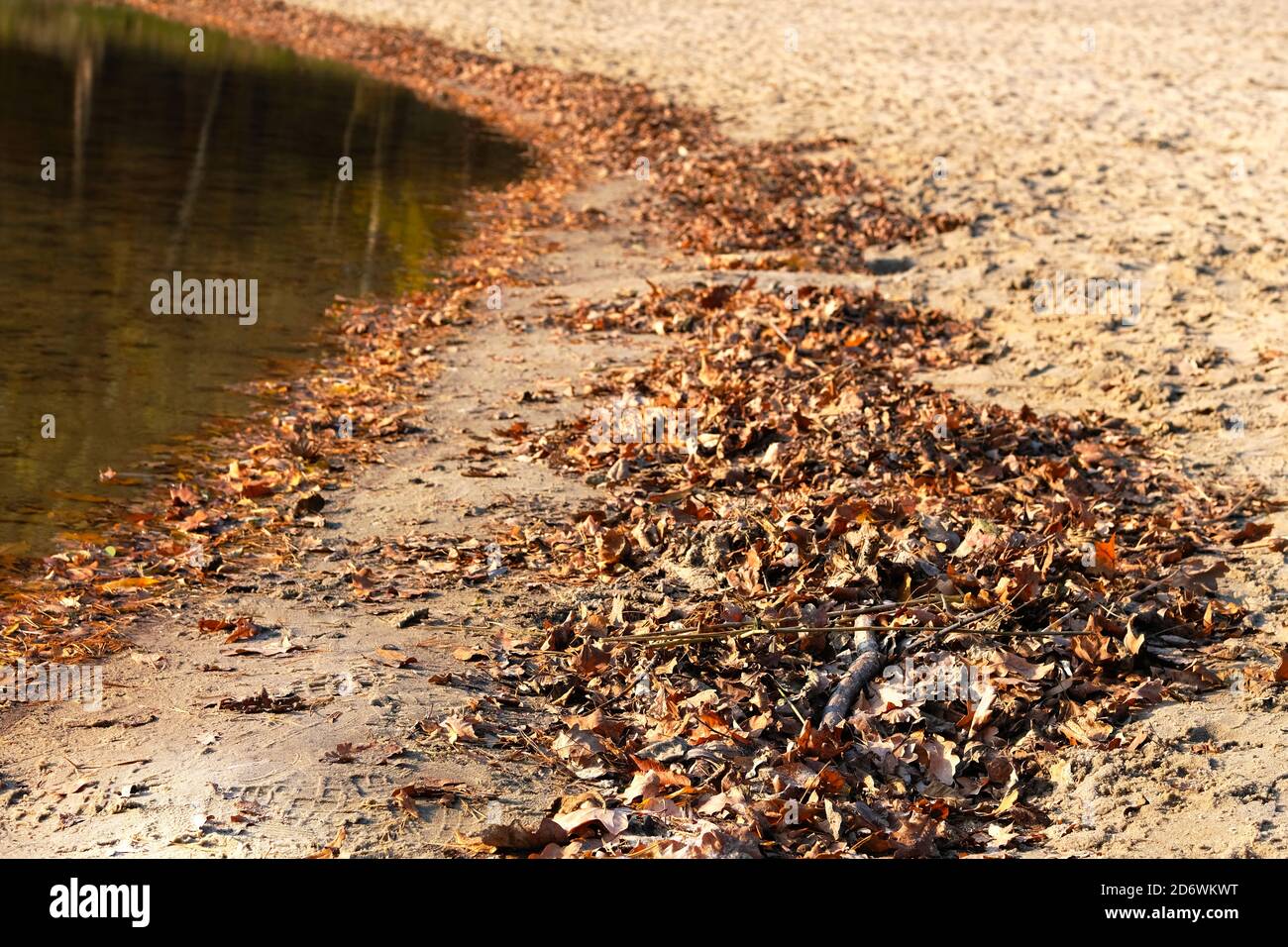 Herbst braun Blätter neben Wasser. Gefallene helle Blätter auf der Wasseroberfläche. Stockfoto