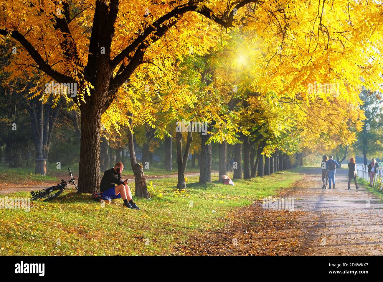 Herbst Stadt Parkallee. Sportlicher Mann auf dem Fahrrad am Herbsttag ruht unter einem Baum. Sonniger Tag, warmes Wetter. Stockfoto
