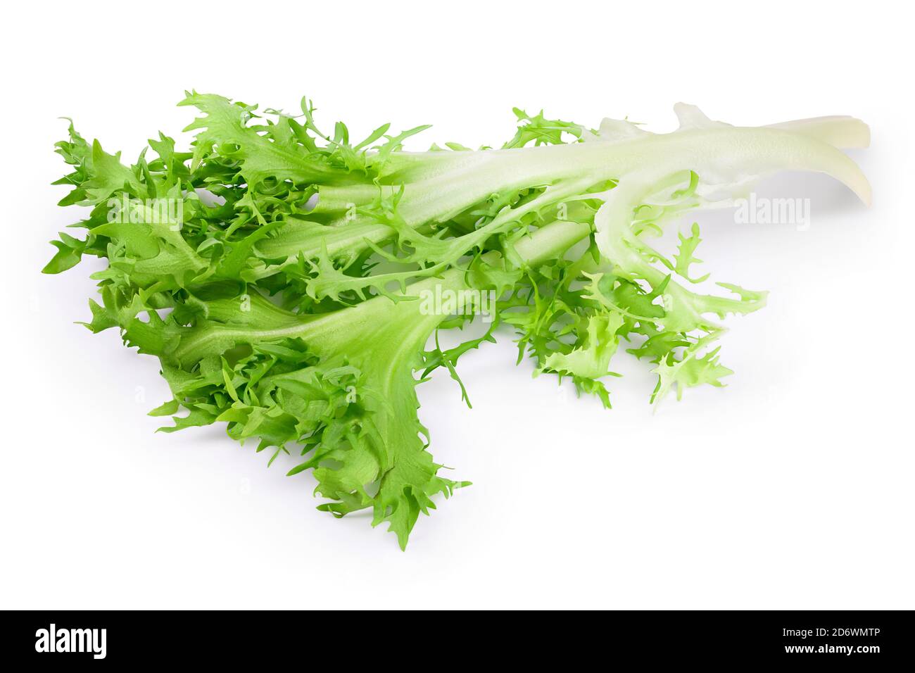 Frische grüne Blätter Endive Frisee Chicorée Salat isoliert auf Weißer Hintergrund mit Beschneidungspfad und voller Schärfentiefe Stockfoto
