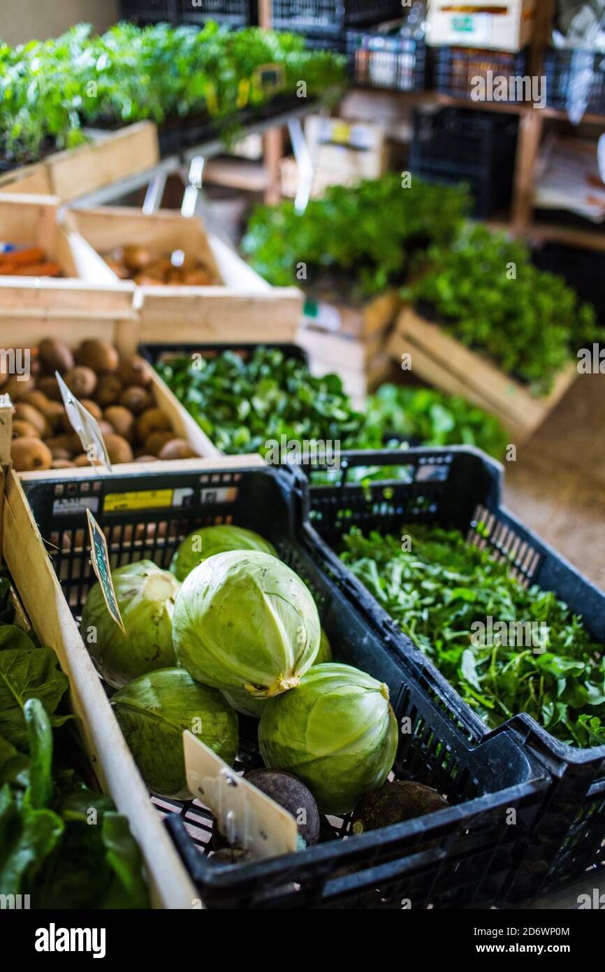 Verkauf von Bio-Lebensmitteln auf dem Bauernhof, Dordogne, Frankreich. Stockfoto
