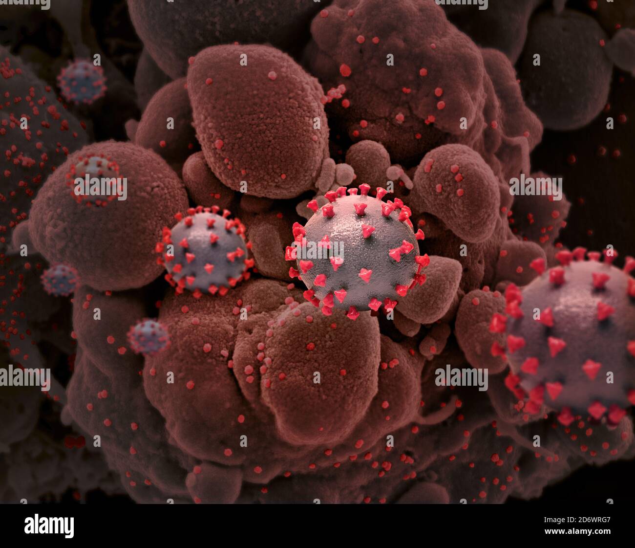 Kreative Wiedergabe von SARS-COV-2-Viruspartikeln. Stockfoto