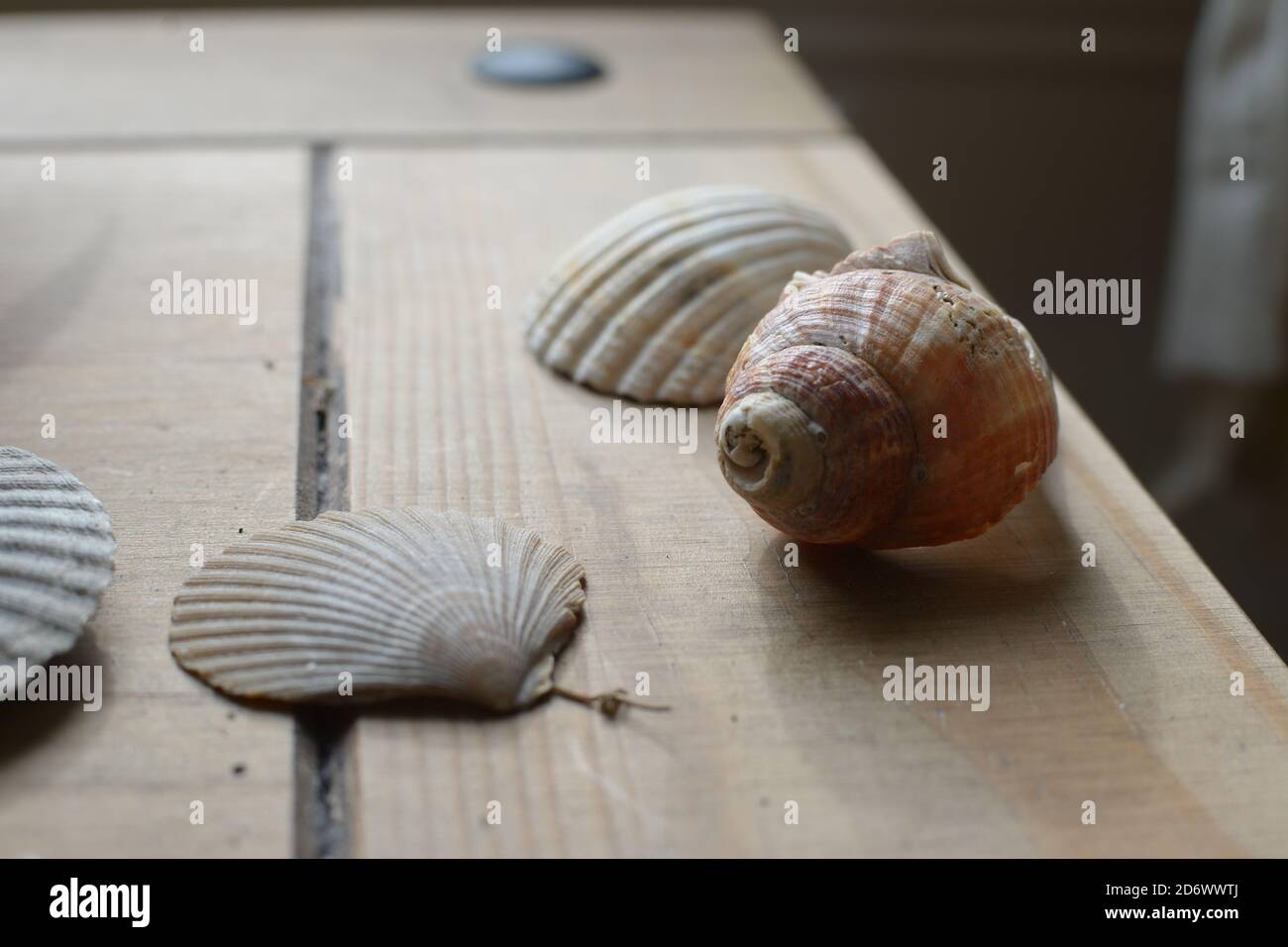 Verworfen Stockfoto