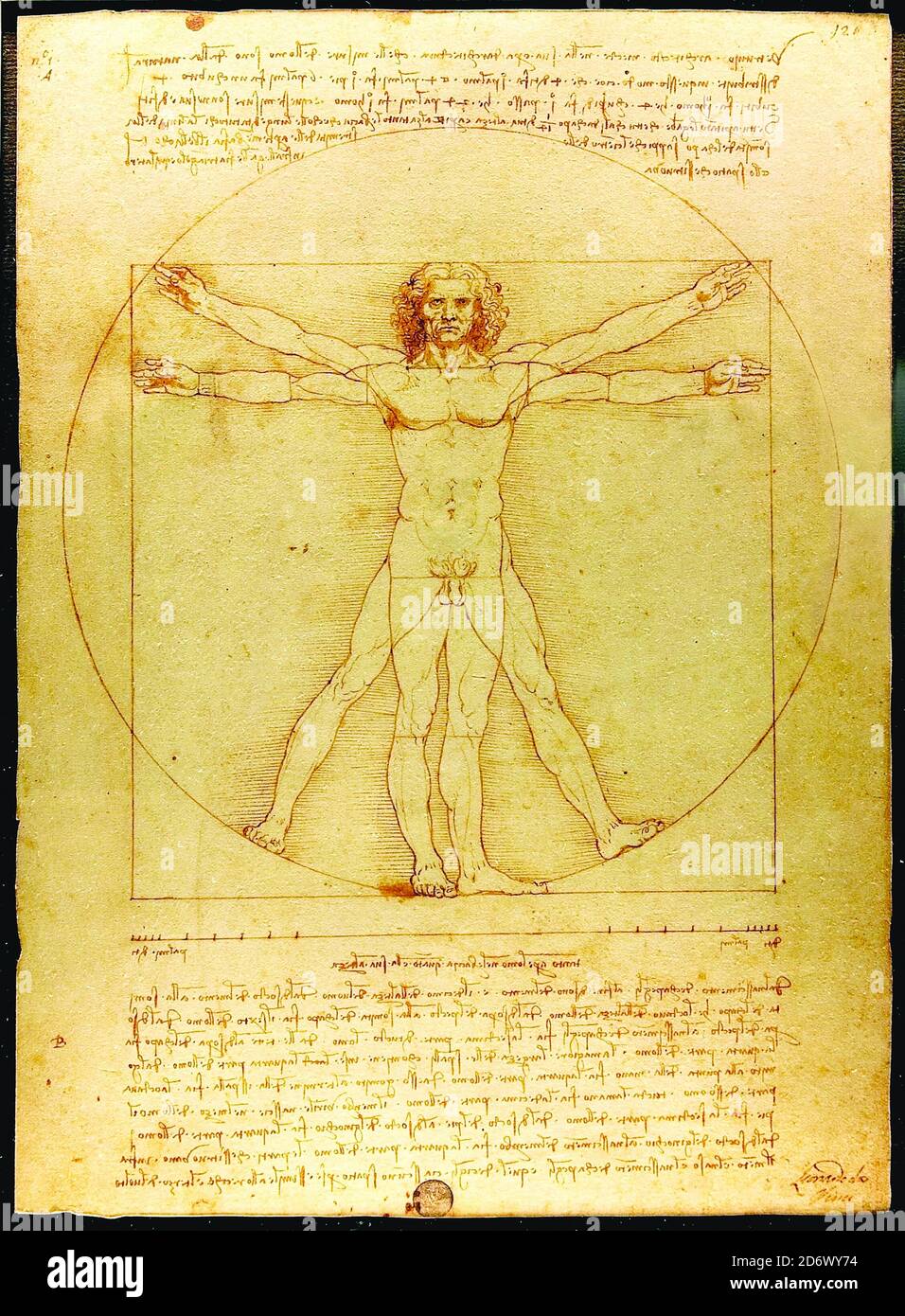 Titel: Die Proportionen der menschlichen Figur (nach Vitruvius) Urheber: Leonardo da Vinci Datum: ca.1492 Maße: 34,3x24,5 cm Medium: Stift & Tinte auf Papier Ort: Accademia di Belle Arti di Venezia Stockfoto