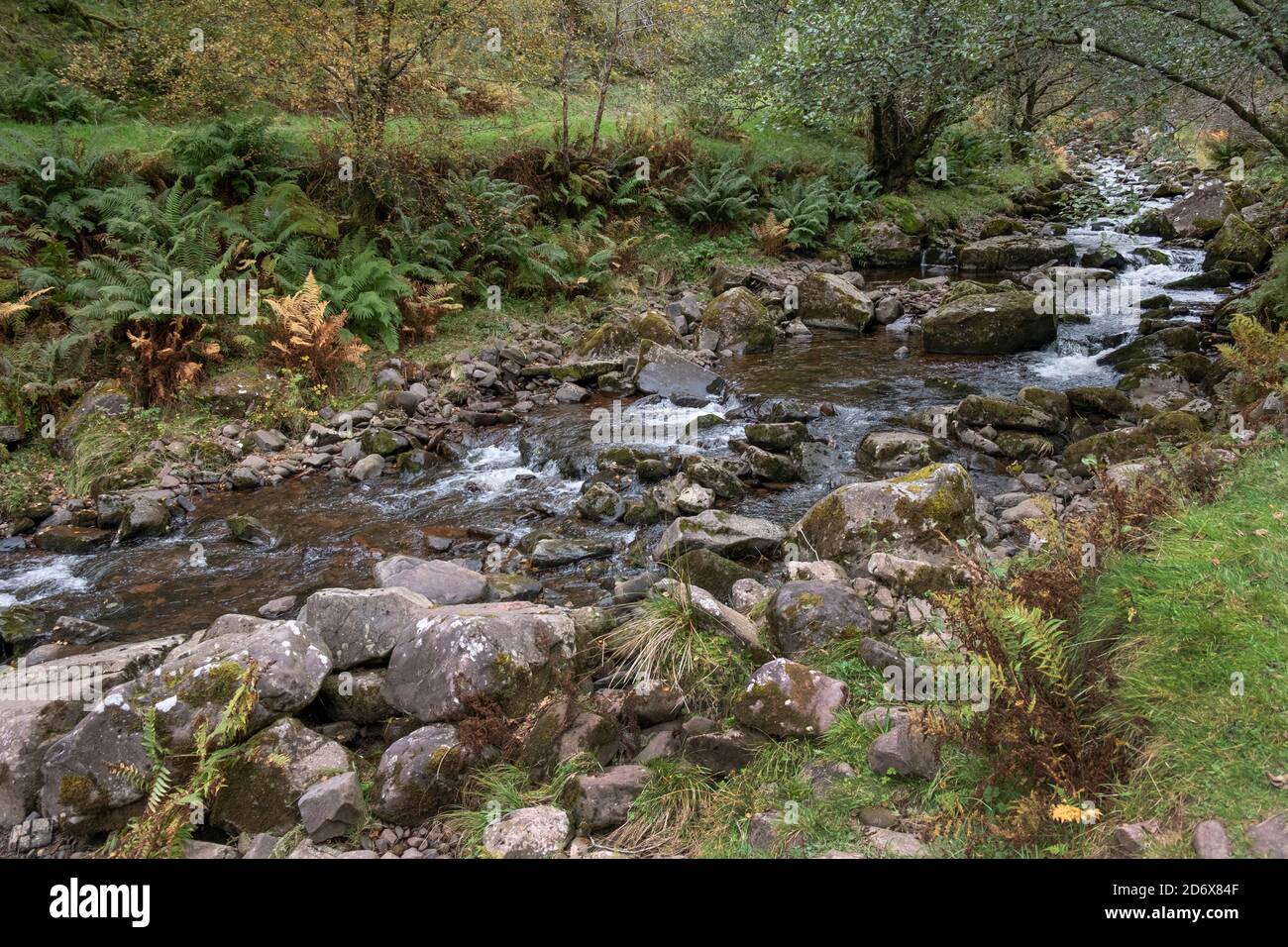 Blaen y Glyn ISAF, Talybont Forest, Brecon Beacons National Park, Breconshire, Wales Stockfoto