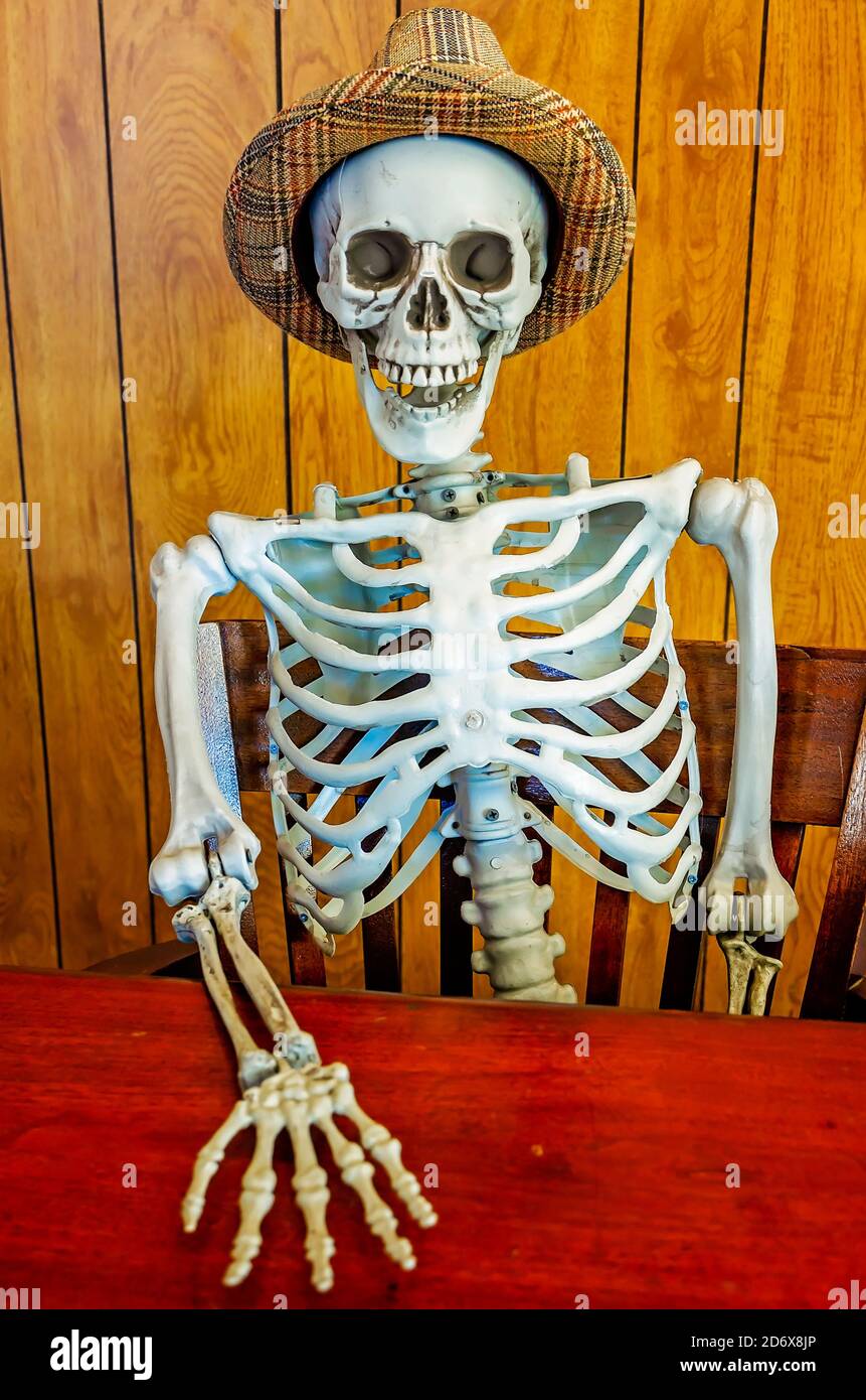 Ein Skelett sitzt auf dem Sitz des Bürgermeisters für Halloween im Fairhope Museum of History, 17. Oktober 2020, in Fairhope, Alabama. Stockfoto