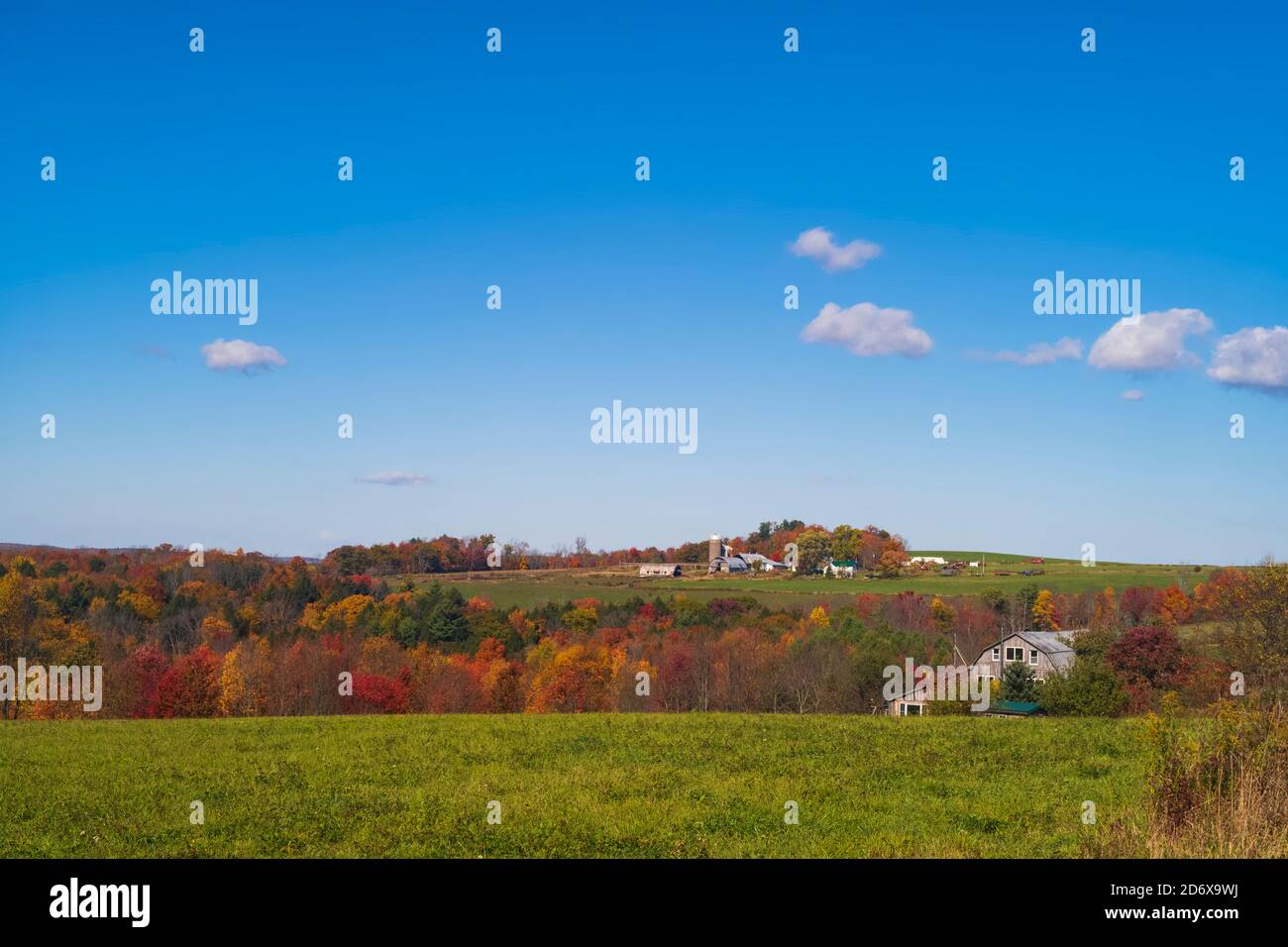 Ein Bauernhof mit einem Silo auf einem Hügel, die Bäume zeigen ihre Herbstfarben scheint in der Nachmittagssonne mit blauen Himmel ein paar Cumulus Wolken. Stockfoto