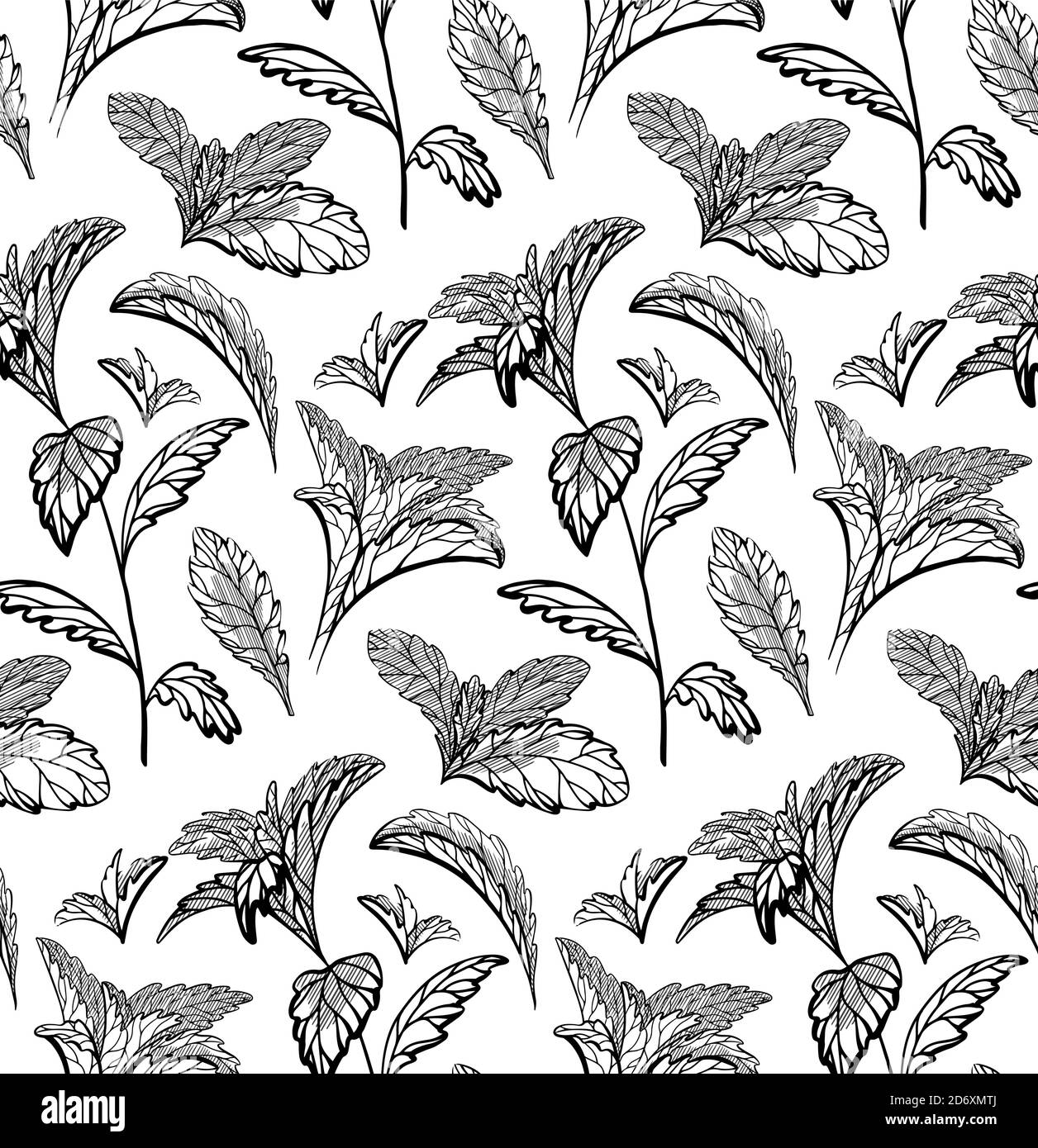 Nahtloses Kräutermuster mit Stevia und Pfefferminzpflanzen. Natur und Natürlichkeit. Handgezeichneter Hintergrund mit Konturen. Vektorzeichnung Textur für Wand Stock Vektor