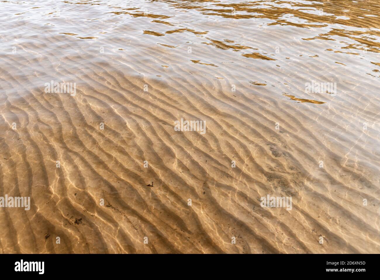 Leerer sandiger Meeresboden ist unter seichtem Wasser, natürliches Hintergrundfoto Stockfoto
