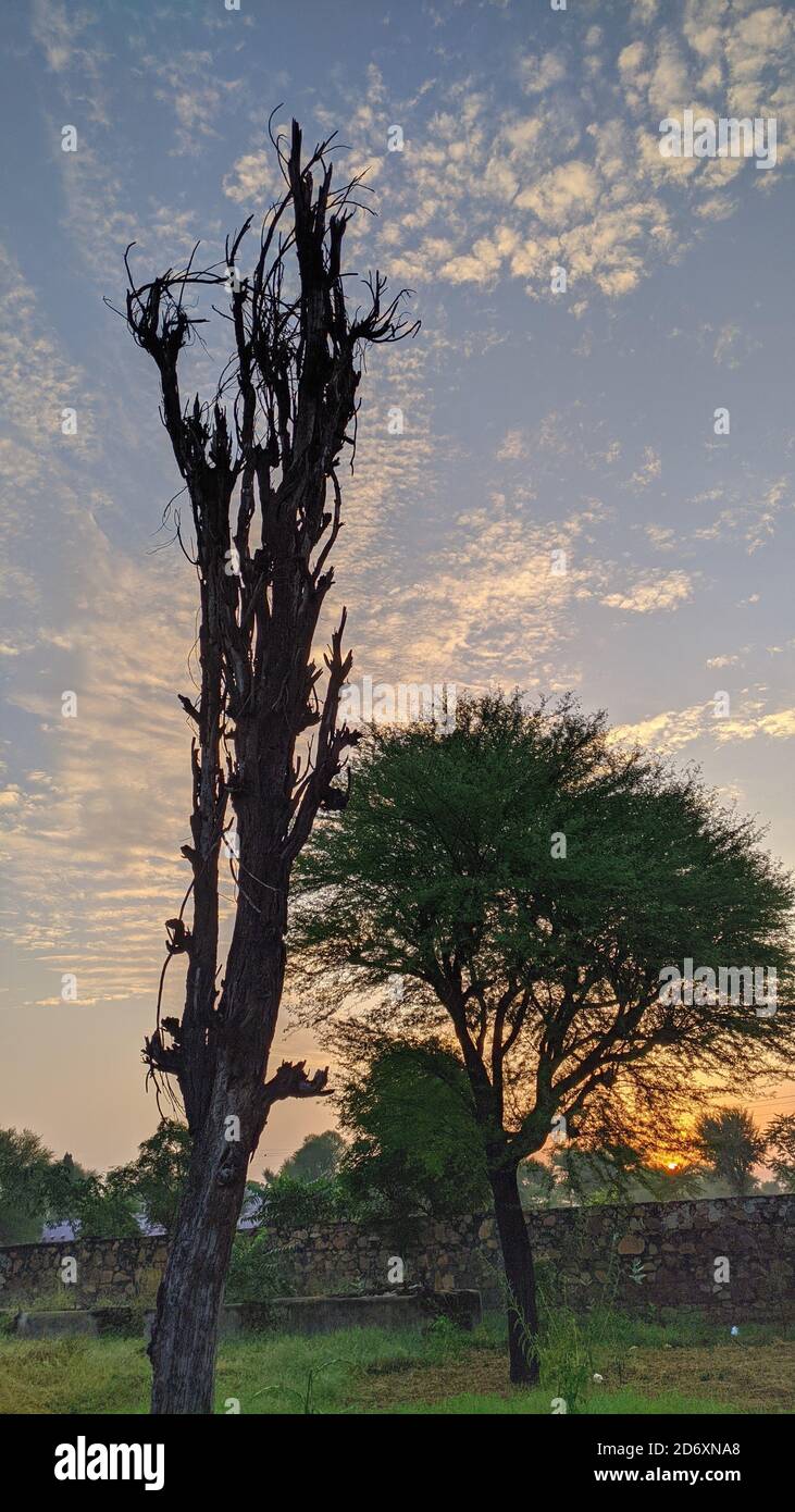 Am frühen Morgen Sonnenlicht scheint durch Bäume. Sonnenaufgang über den Hügeln von Wald im Blue Mountains Nationalpark in Jaipur, Indien bedeckt. Stockfoto