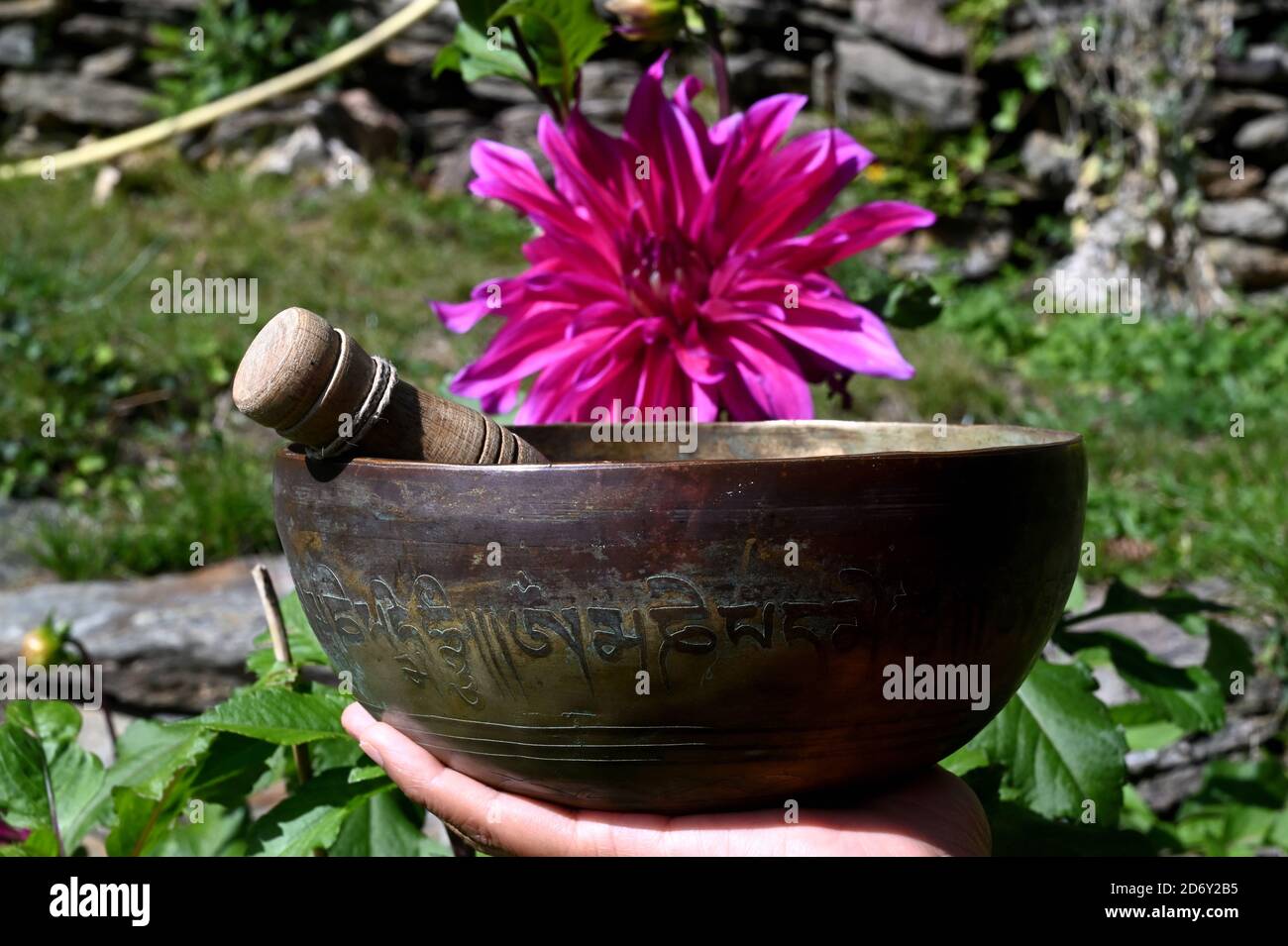Eine Frauenhand hält ein singendes Gezwitscher Stockfoto