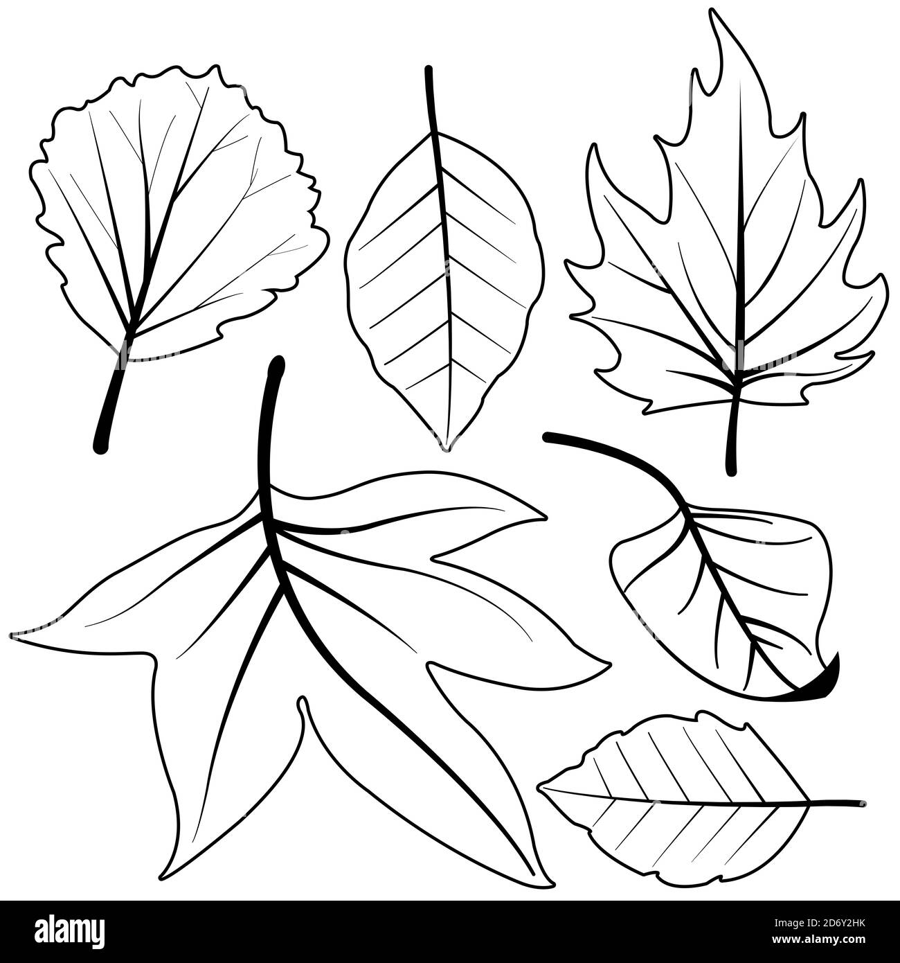 Trockene Herbstblätter. Schwarz-Weiß-Malseite Stockfoto