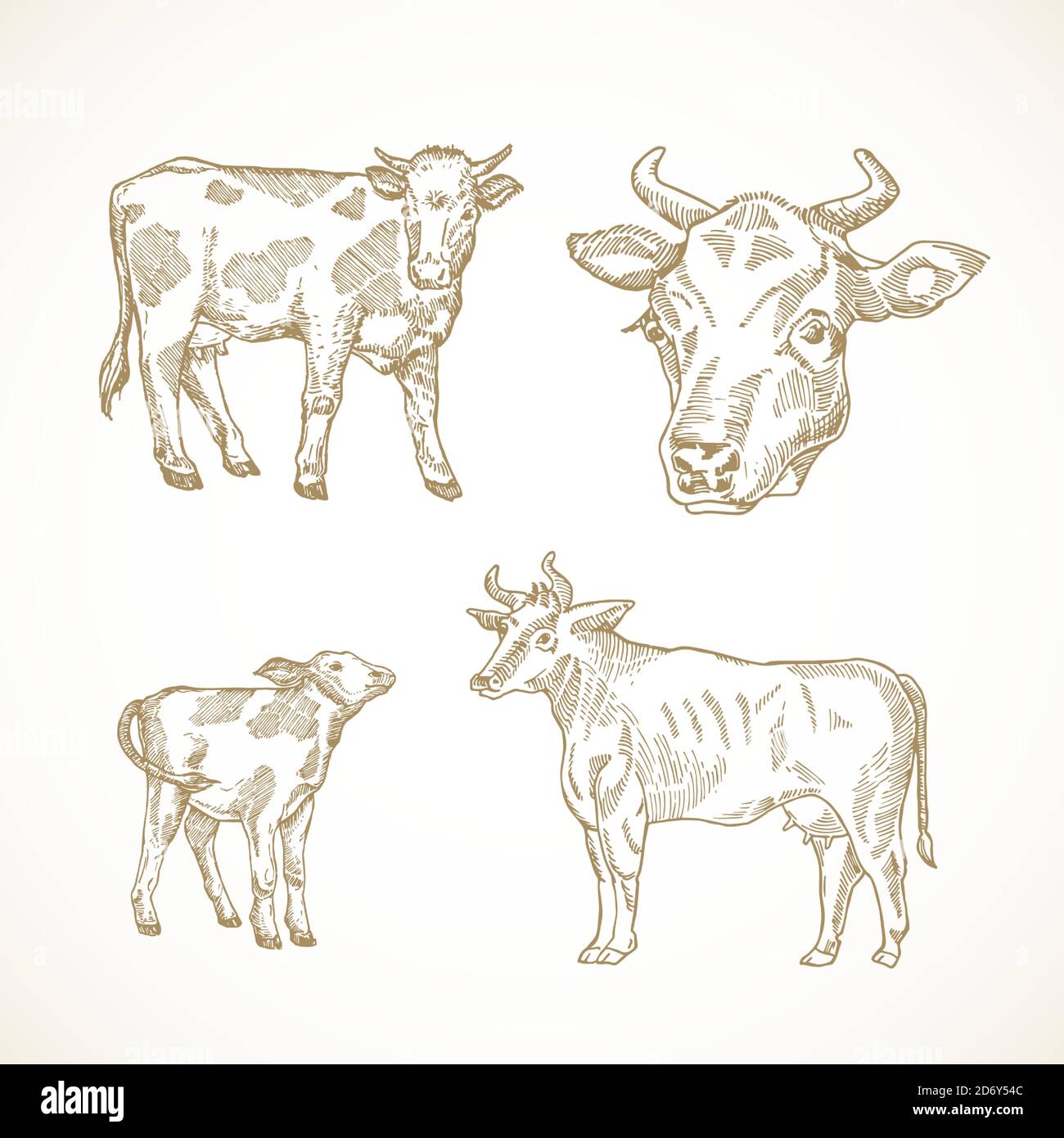 Kuh, Stier und Kalb handgezeichnete Vektor Illustrationen Set. Abstract Domestic Animals Sketch Bundle. Doodle Style Zeichnungen Sammlung. Stock Vektor