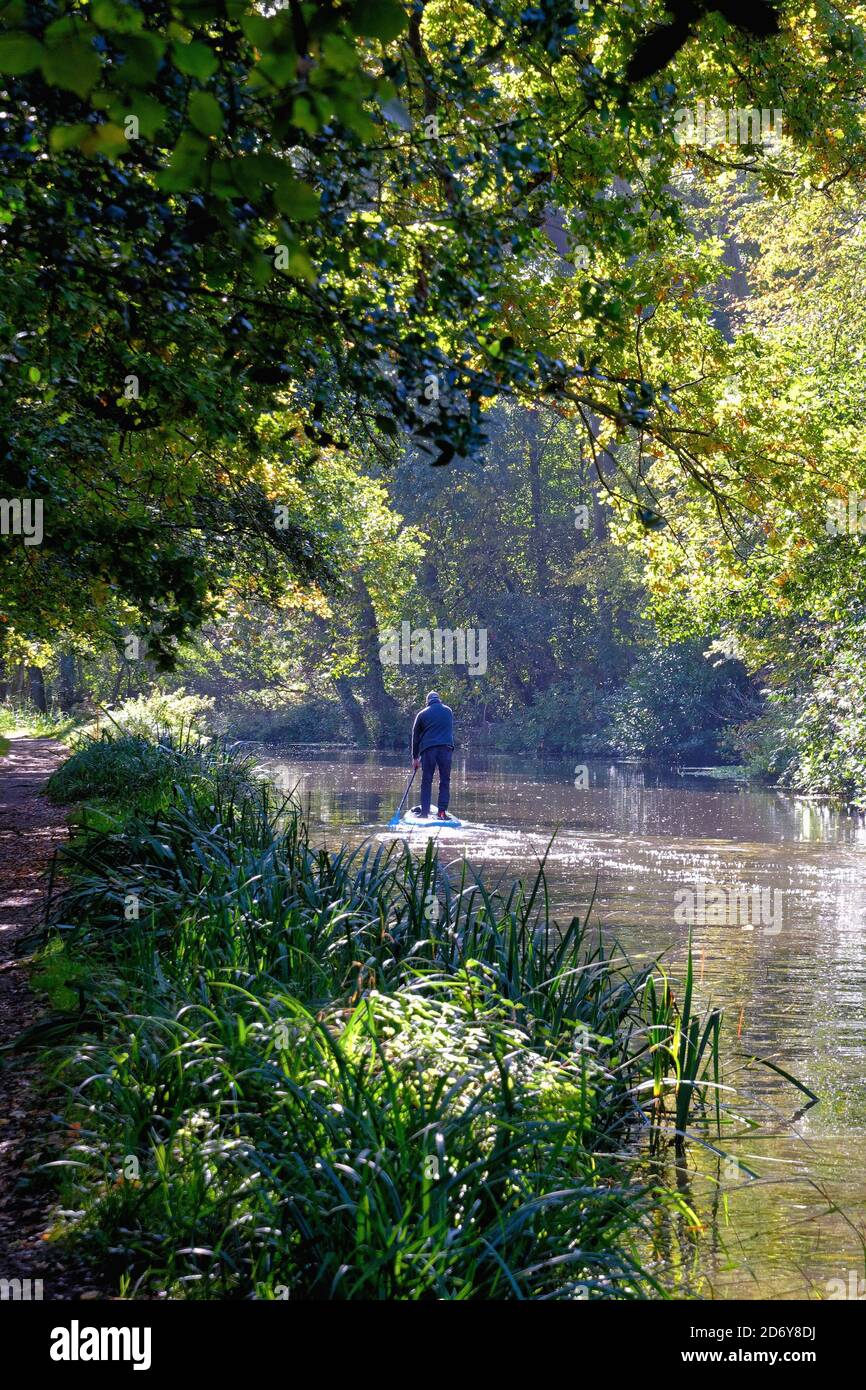 Ein älterer Mann paddelt an einem herbstlichen Tag auf dem Fluss Wey Navigation Kanal, Byfleet Surrey England UK Stockfoto