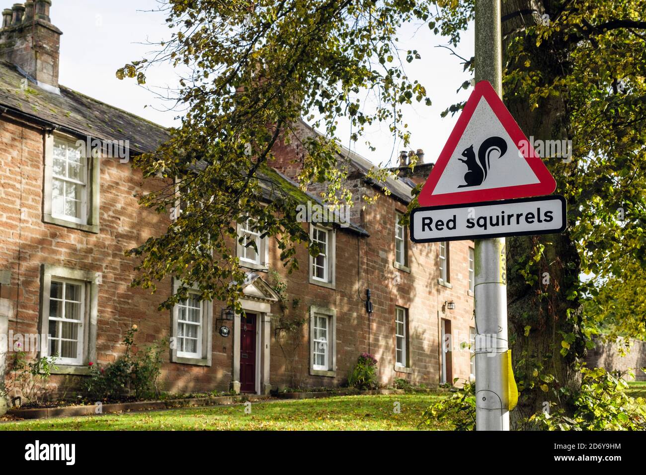 Rotes Dreieck-Schild für rote Eichhörnchen in den Außenhäusern in der Stadt. Boroughgate, Appleby-in-Westmorland, Eden District, Cumbria, England, Großbritannien Stockfoto