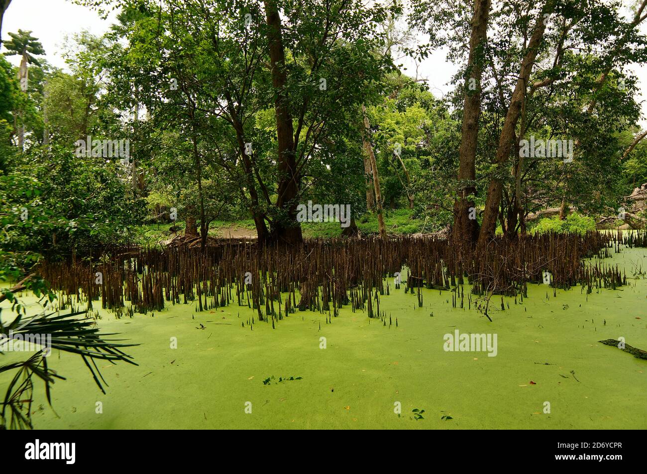 Seen in der Trockenzeit mit Wasserabfluss, der neigt Zu beginnen zurückzutreten Stockfoto