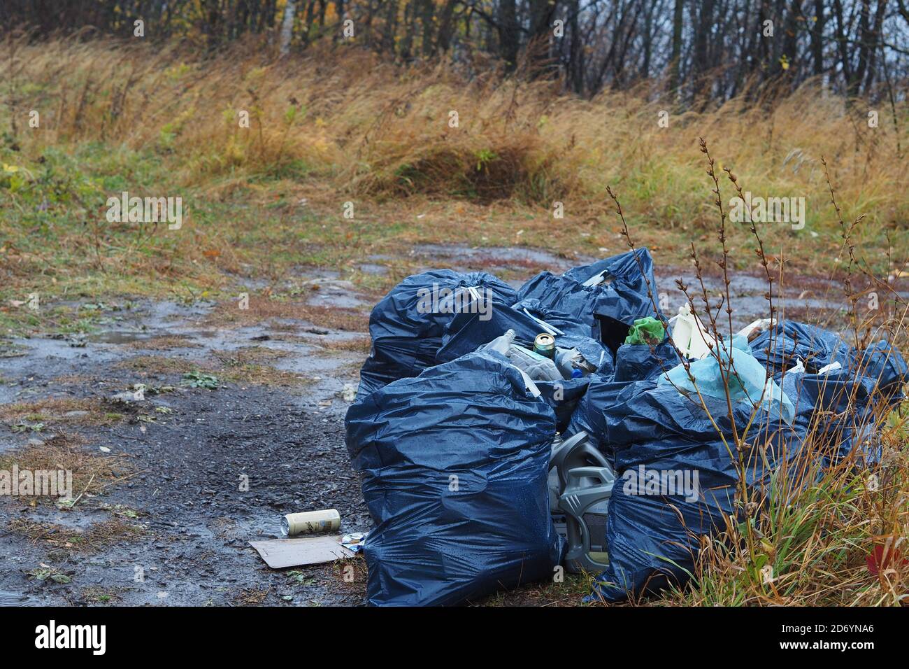 Müllhalde im Wald. Es ist ein Umweltproblem. Stockfoto