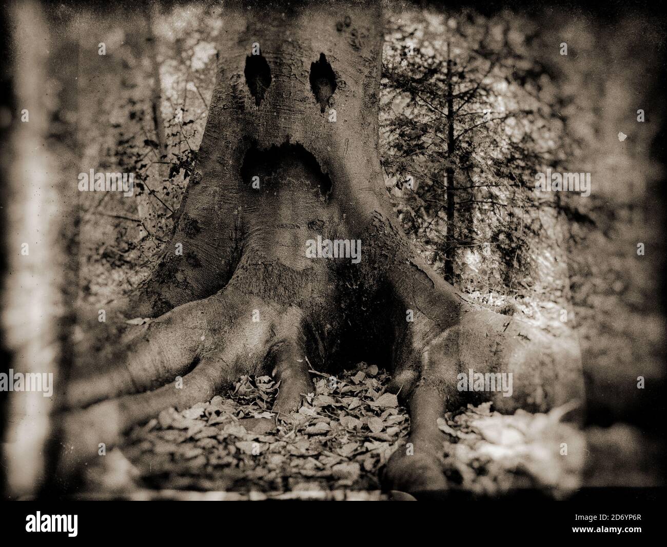 Vintage aussehende Monster Baum Stockfoto