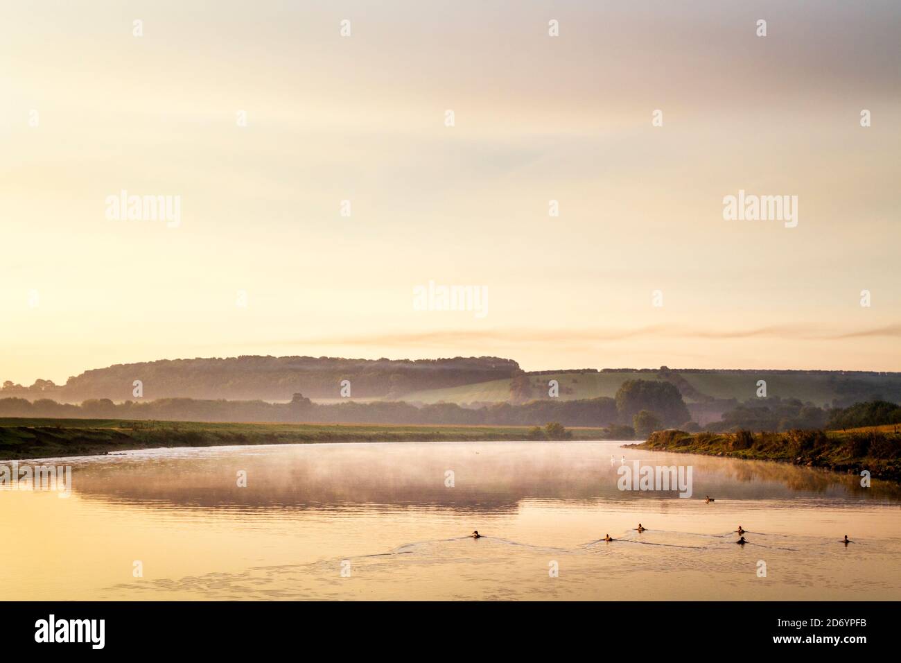 Englische Landschaftsszene im Herbst. Nebel und Vögel auf dem Fluss Trent kurz nach der Morgendämmerung, Stoke Bardolph, Nottinghamshire, England, Großbritannien Stockfoto