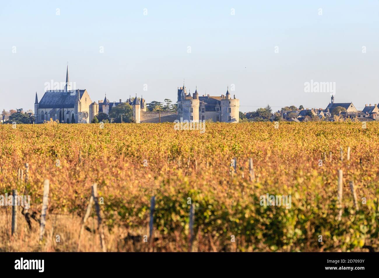 Frankreich, Maine et Loire, Loire Anjou Touraine Regional Naturpark, Montreuil Bellay, Weinberg, Notre Dame Stiftskirche und Schloss // Frankreich, Mai Stockfoto