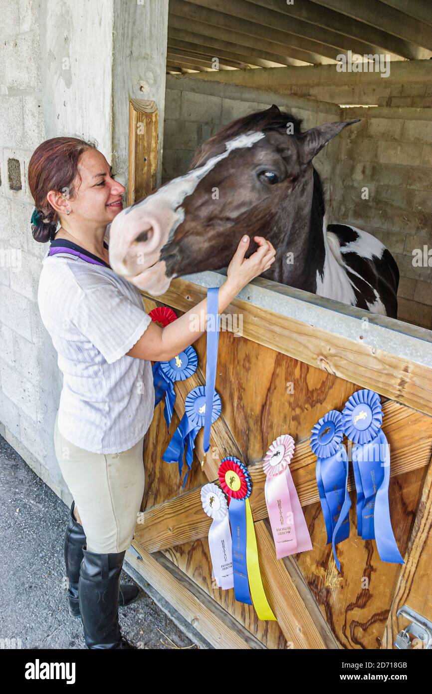 Miami Florida, Tropical Park, Heritage Horse Show, Frau weibliche Pflege Besitzer Stall Stall, Gewinner Bänder blau, Stockfoto