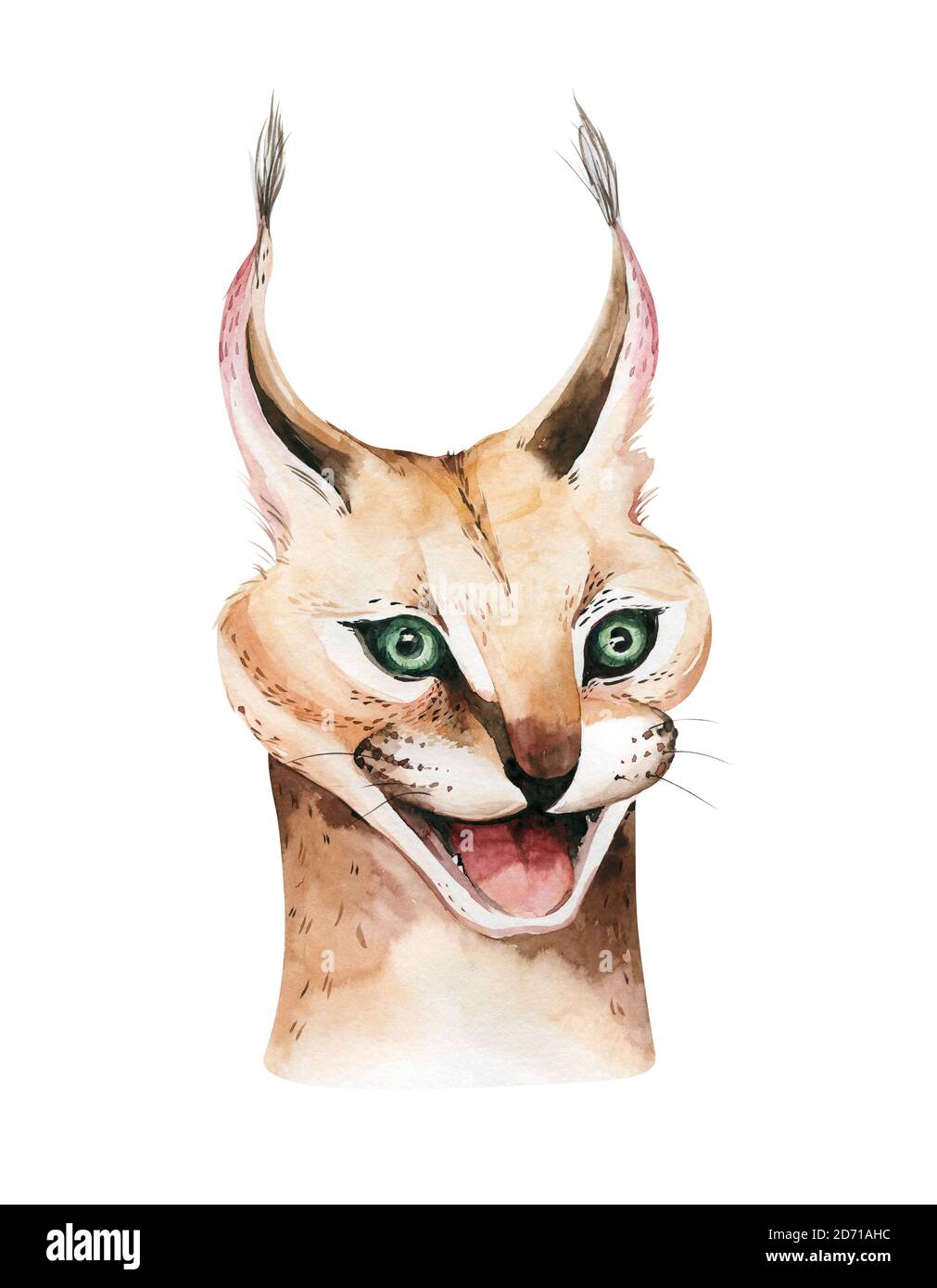 Afrika Aquarell Savanne karakale Tier Illustration. African Safari wild Katze niedlichen Tiere Gesicht Porträt Charakter. Isoliert auf Wote Poster Stockfoto