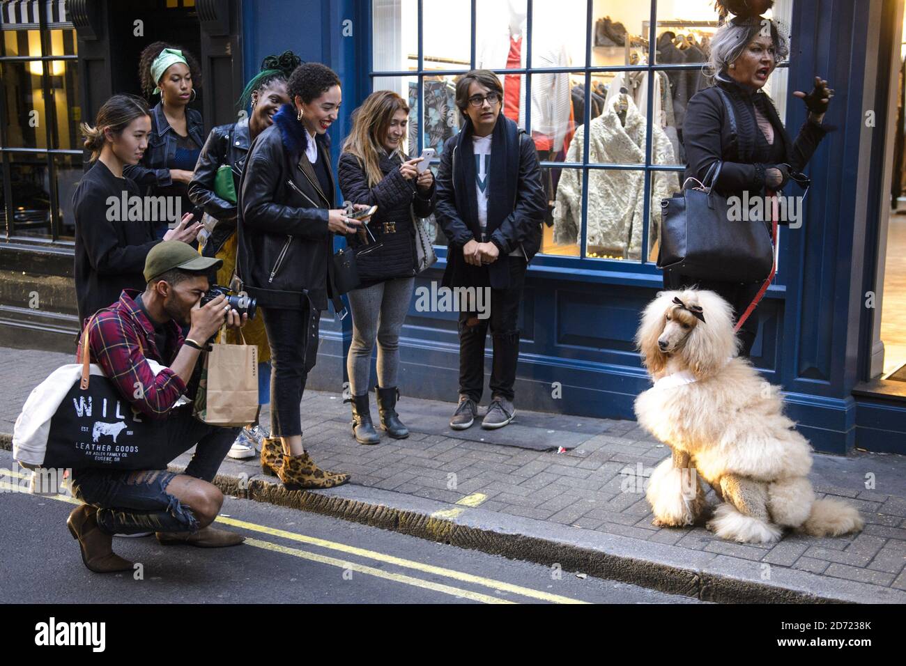 Passanten und Blogger fotografieren den Hund einer Fashionista in Soho während der London Fashion Week im BFC Show Space, Brewer Street Car Park, London. Bilddatum: Samstag, 17. 2016. Bildnachweis sollte lauten: Matt Crossick/ EMPICS Entertainment. Stockfoto