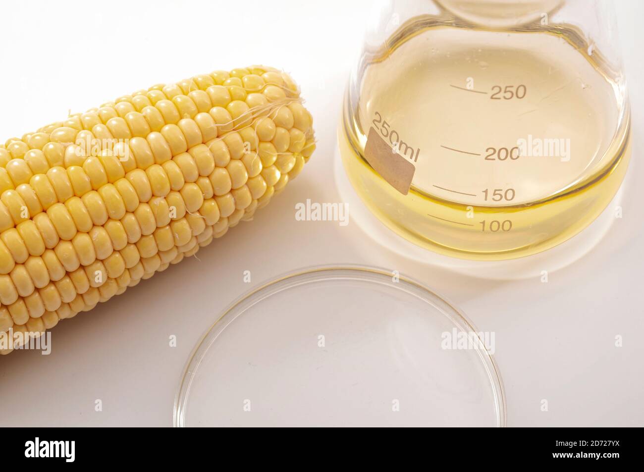 Ethanol als erneuerbarer Brennstoff, nachhaltige grüne Alternative zu fossilen Brennstoffen und Biosprit-Lösungskonzept mit Mais, Glasbecher und Petrischale isoliert Stockfoto