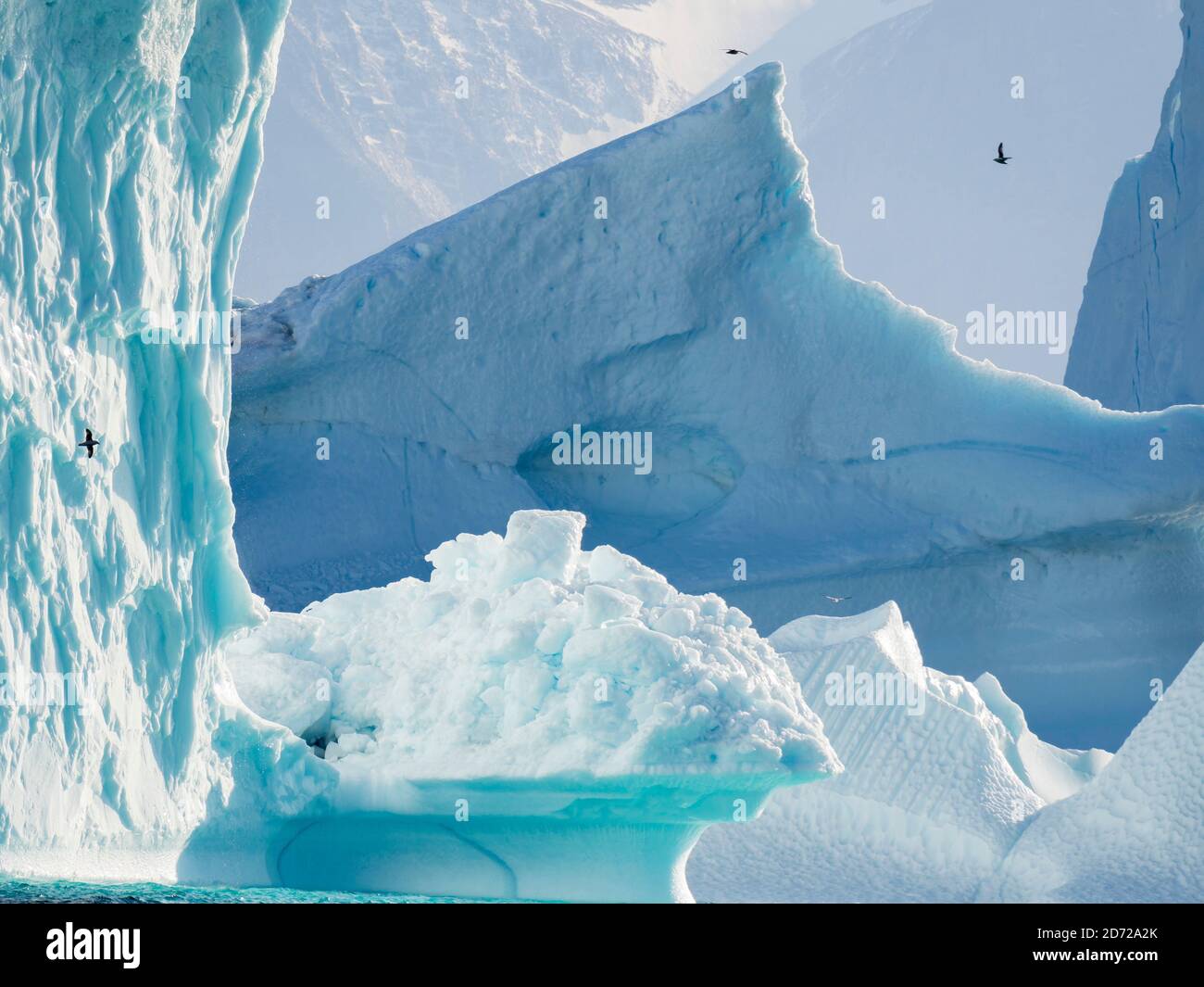 Eisberge im Fjordsystem Uummannaq im Norden westgrönlands. Nuussuaq Halbinsel im Hintergrund. Amerika, Nordamerika, Grönland, Denma Stockfoto