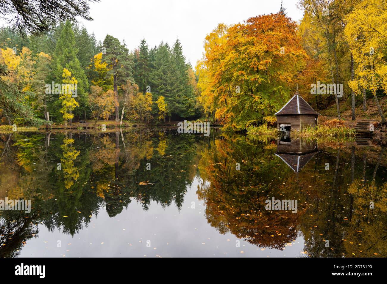 Pitlochry, Schottland, Großbritannien. 20. Oktober 2020. Herbstfarben am Loch Dunmore in Faskally Wood bei Pitlochry in Perthshire. Iain Masterton/Alamy Live News Stockfoto