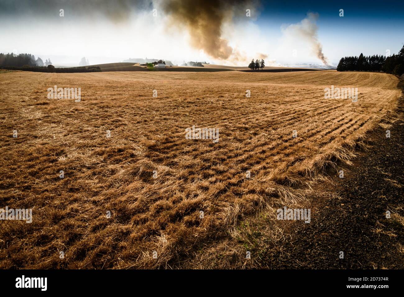 Grassfeuer und -Rauch, Marion County, Oregon, USA. Stockfoto