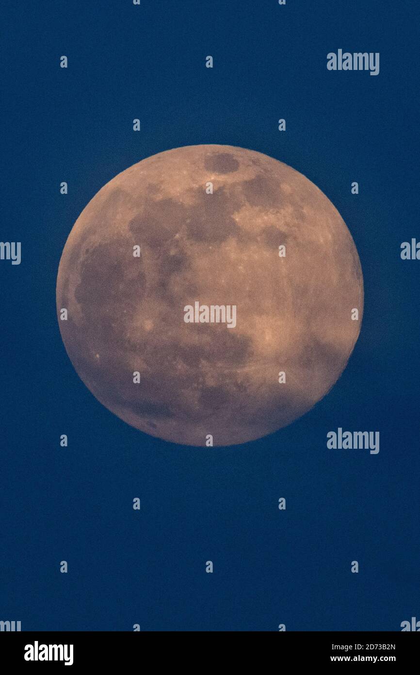 Ein rosafarbener Supermond erhebt sich über den Häusern im Norden Londons. Ein Supermond erscheint heller und größer als normal, da seine Umlaufbahn ihn näher als gewöhnlich zur Erde bringt. Bilddatum: Dienstag, 7. April 2020. Bildnachweis sollte lauten: Matt Crossick/Empics Stockfoto