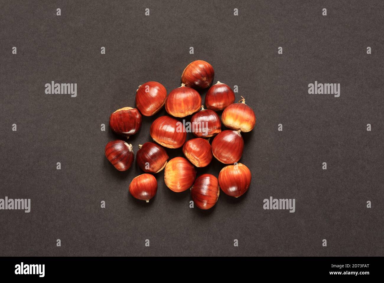 GefürchtetEnglish Sweet Chestnuts (castanea sativa) Stockfoto