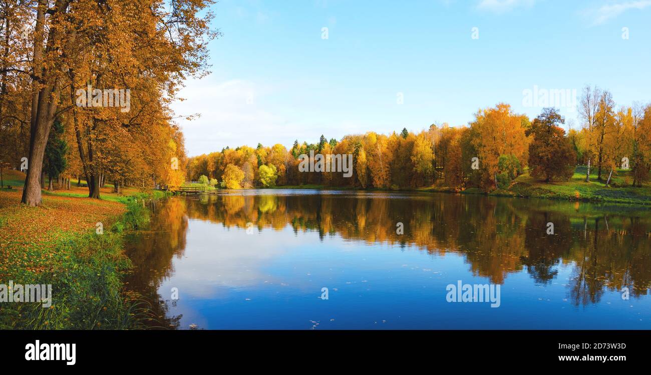 Schöne sonnige Herbstlandschaft mit ruhigem See im Park und Bäume mit gelbem Herbstlaub Stockfoto