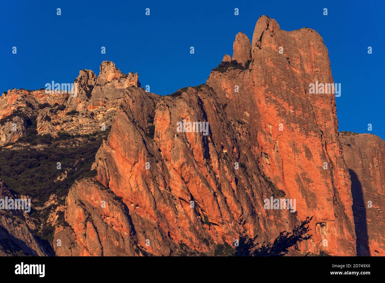 Der majestätische Mallos de Riglos, ein spektakuläres natürliches Tor zu den Pyrenäen, leuchtet in der Abendsonne in der Provinz Huesca, Aragon, Spanien, leuchtend orange-rot. Los Mallos (die Mallets) entstand vor mindestens 20 Millionen Jahren, als Material von den Pyrenäenhängen mit Kalkstein verdichtet wurde, um Konglomeratgestein zu bilden. Die markanten ‘m, durch Erosion geformten „Allets“ bilden eine physische Grenze zwischen den Vorgebirgen der Pyrenäen und dem Ebro-Becken, die auf etwa 300 m (980 ft) ansteigt. Im 11. Jahrhundert war die Gegend um Mallos kurz ein unabhängiges Königreich, nachdem Pedro, König von Aragon, es als Mitgift gab. Stockfoto